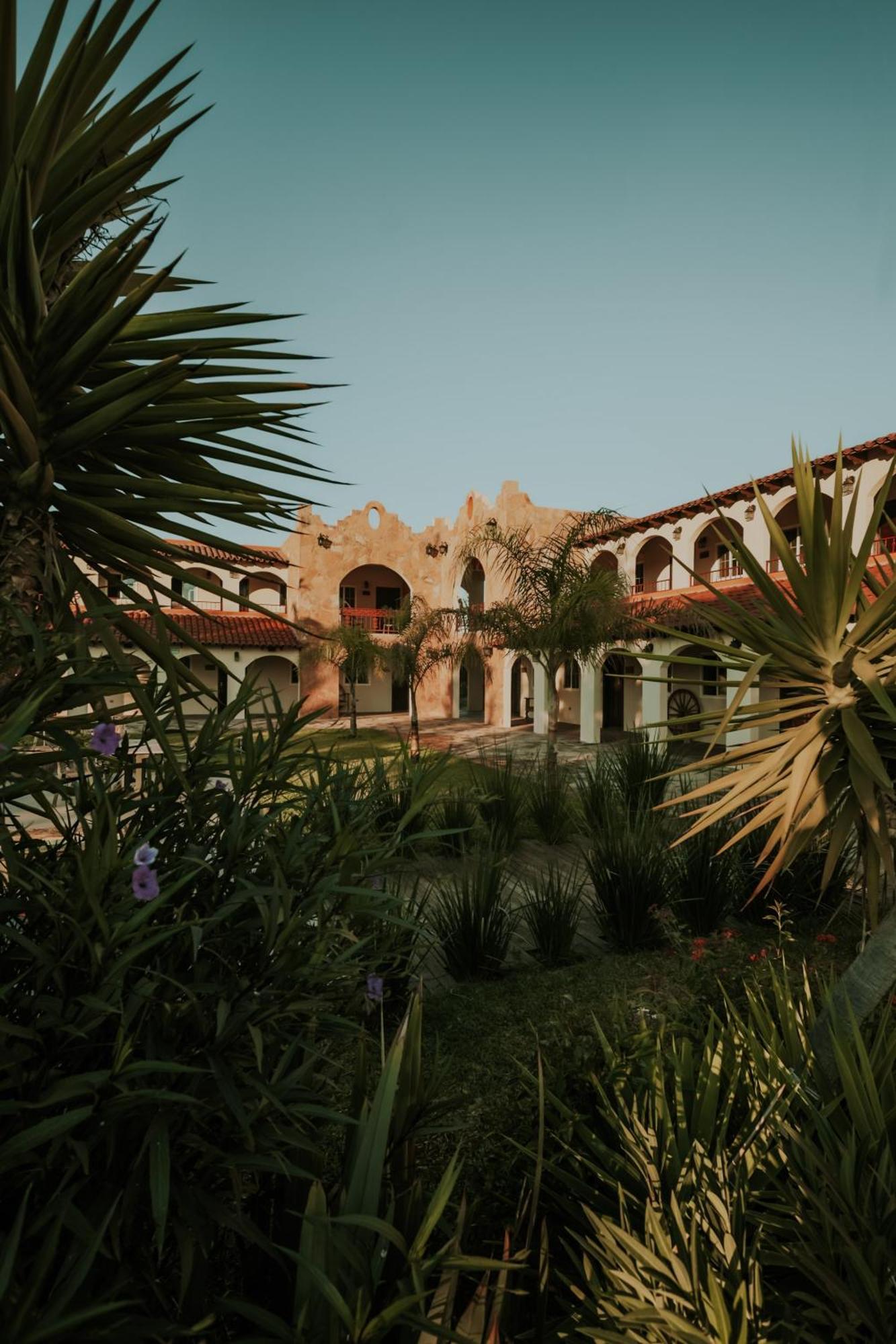 Hacienda Los Olivos, Valle De Guadalupe Rancho Grande Exterior photo